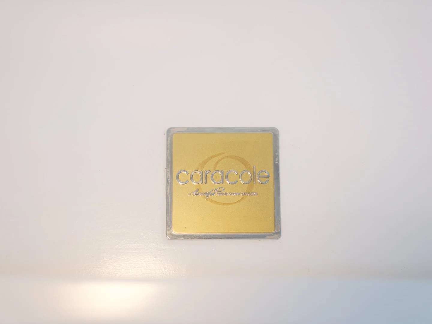 Photo Feb 22 2026, 2 18 31 PM.jpg