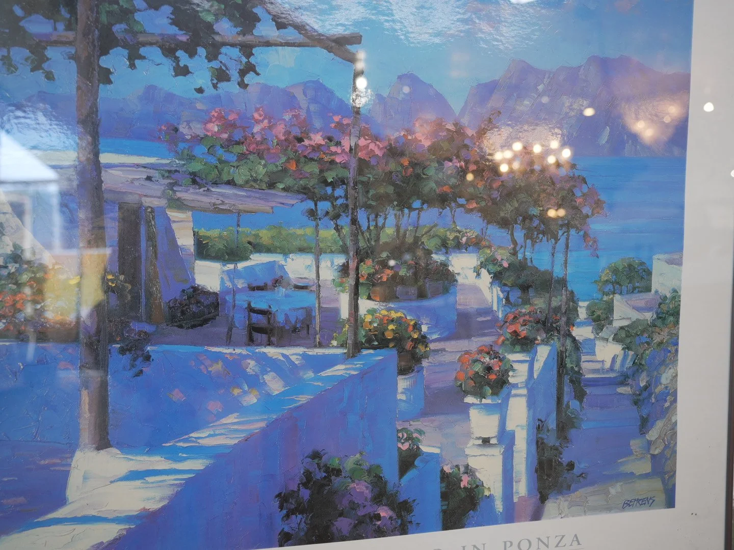 Photo Mar 26 2026, 1 01 42 PM.jpg