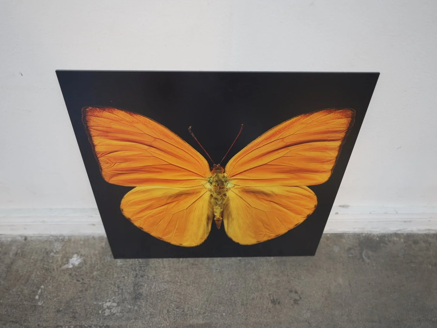 Photo Apr 23 2026, 12 21 30 PM.jpg