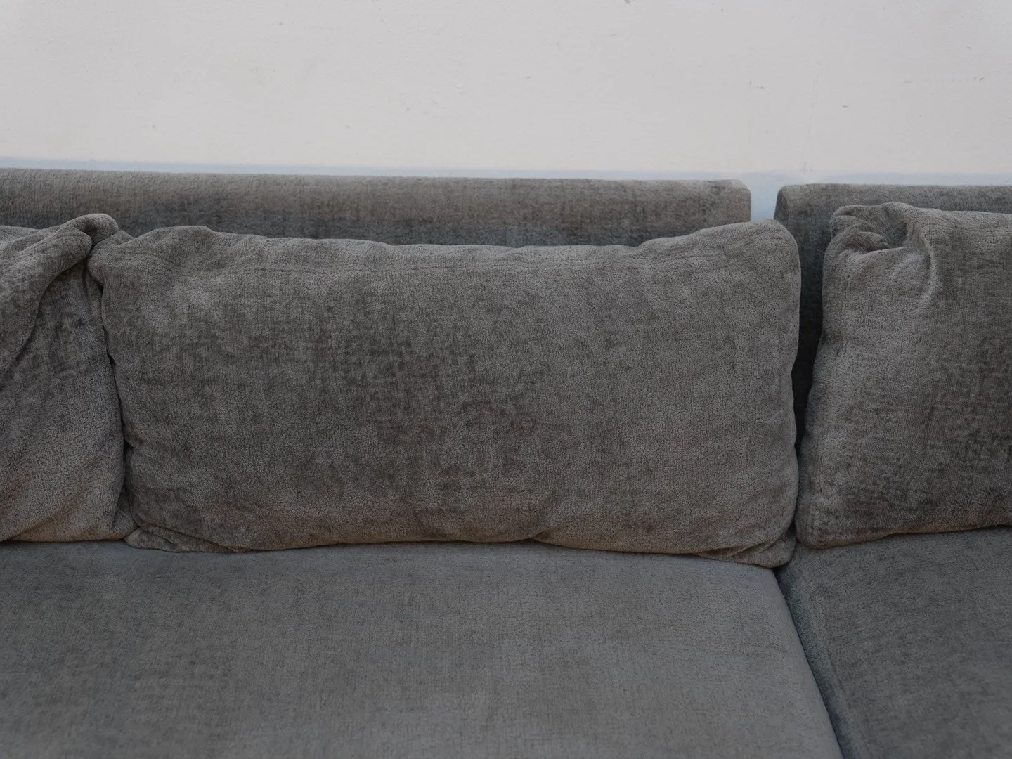 Photo Feb 19 2026, 1 03 44 PM.jpg