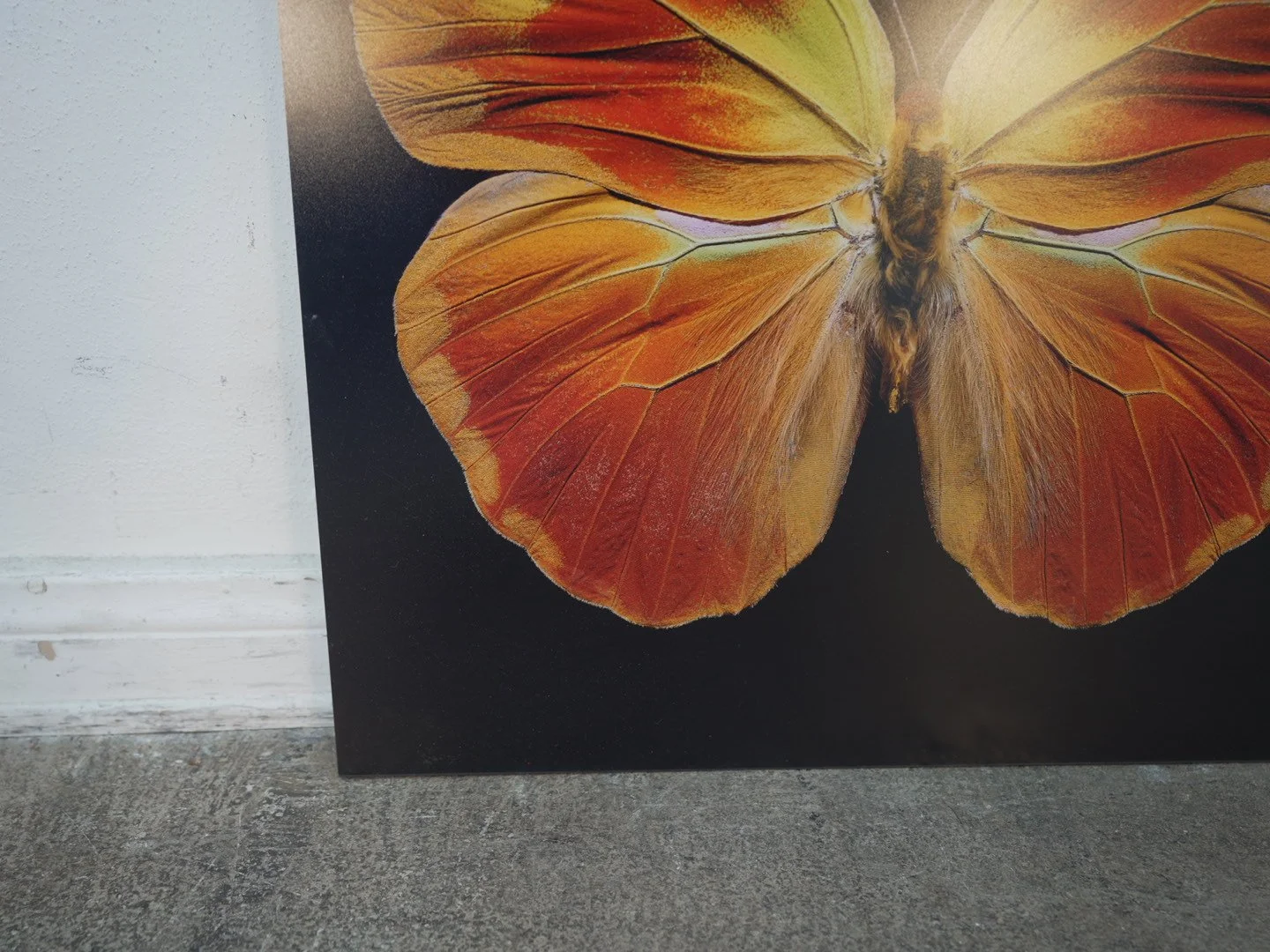 Photo Apr 23 2026, 12 41 15 PM.jpg