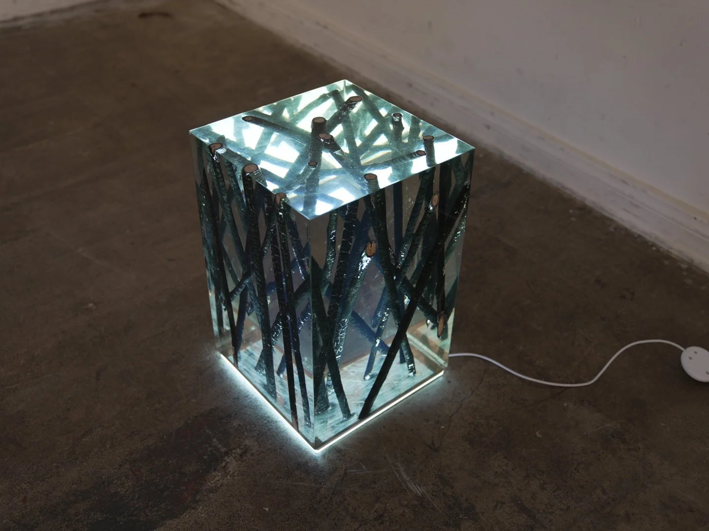 Photo Feb 08 2026, 12 05 12 PM.jpg