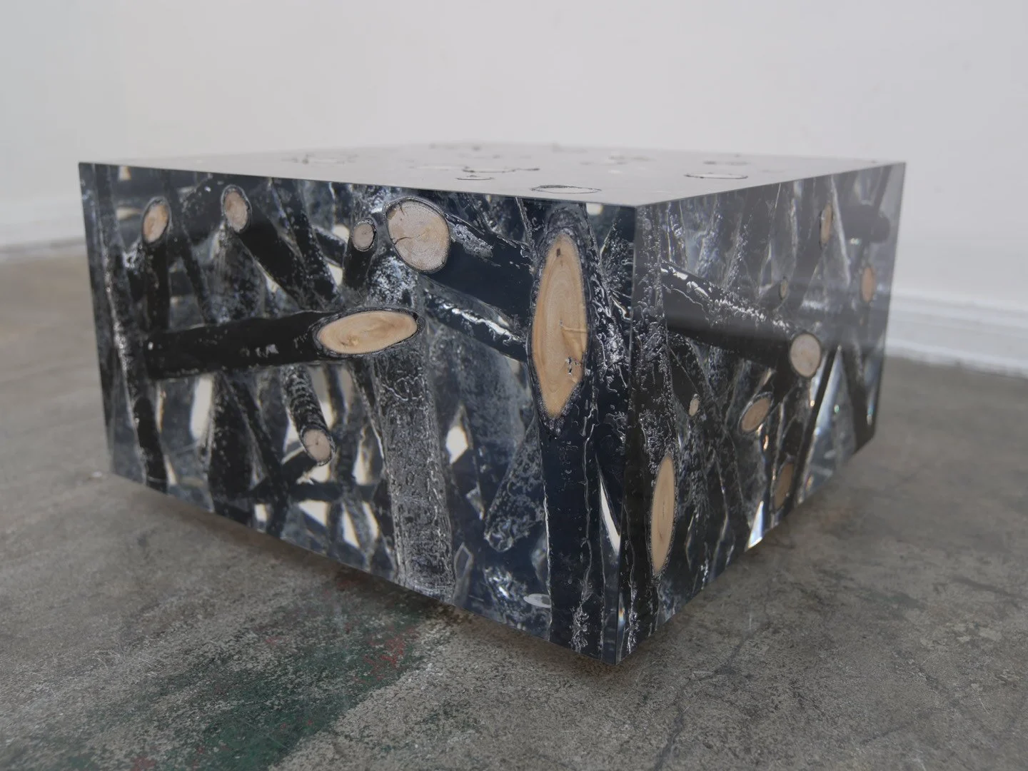 Photo Jan 30 2026, 2 22 42 PM.jpg