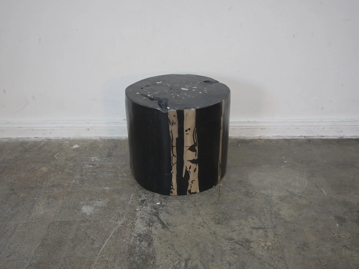 Petrified Wood Resin Table