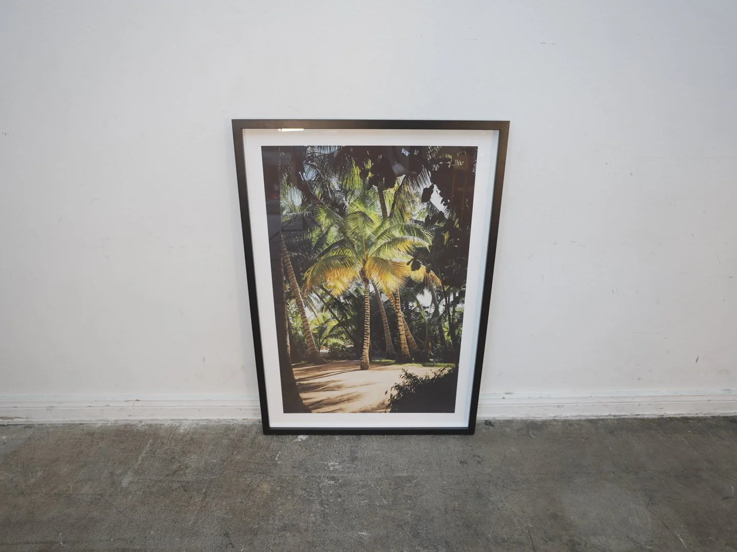 "Secret Palm" by Brecht Van't Hof