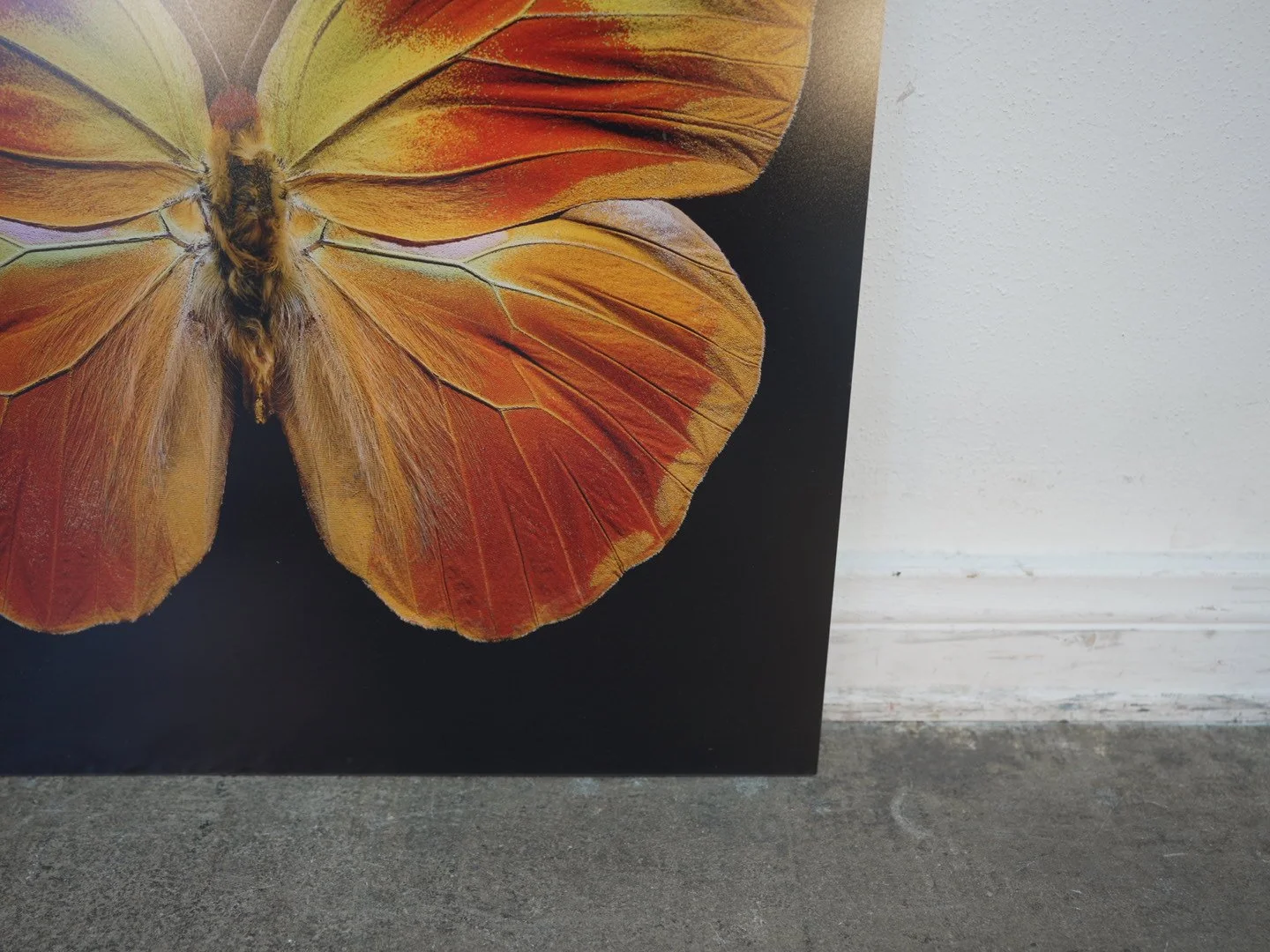 Photo Apr 23 2026, 12 41 18 PM.jpg