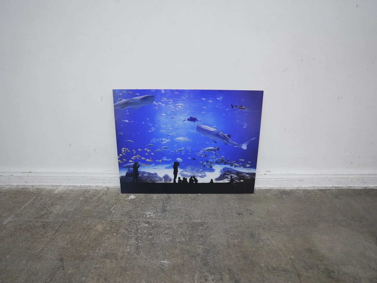 Photo Apr 23 2026, 12 17 24 PM.jpg