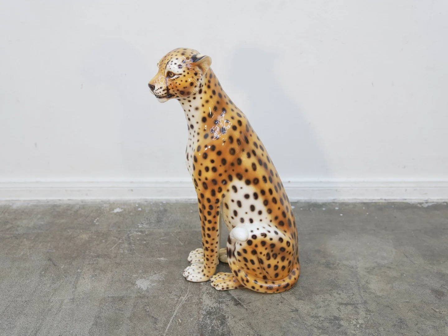 Photo Jan 31 2026, 6 08 07 PM.jpg