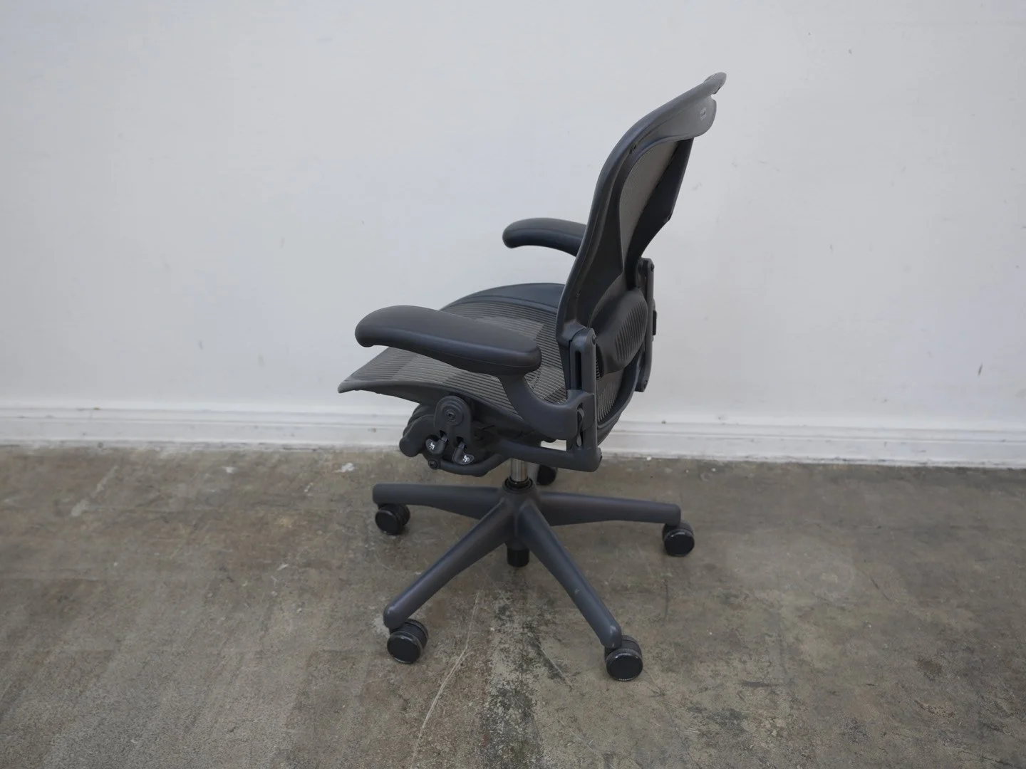 Photo Mar 13 2026, 1 53 25 PM.jpg