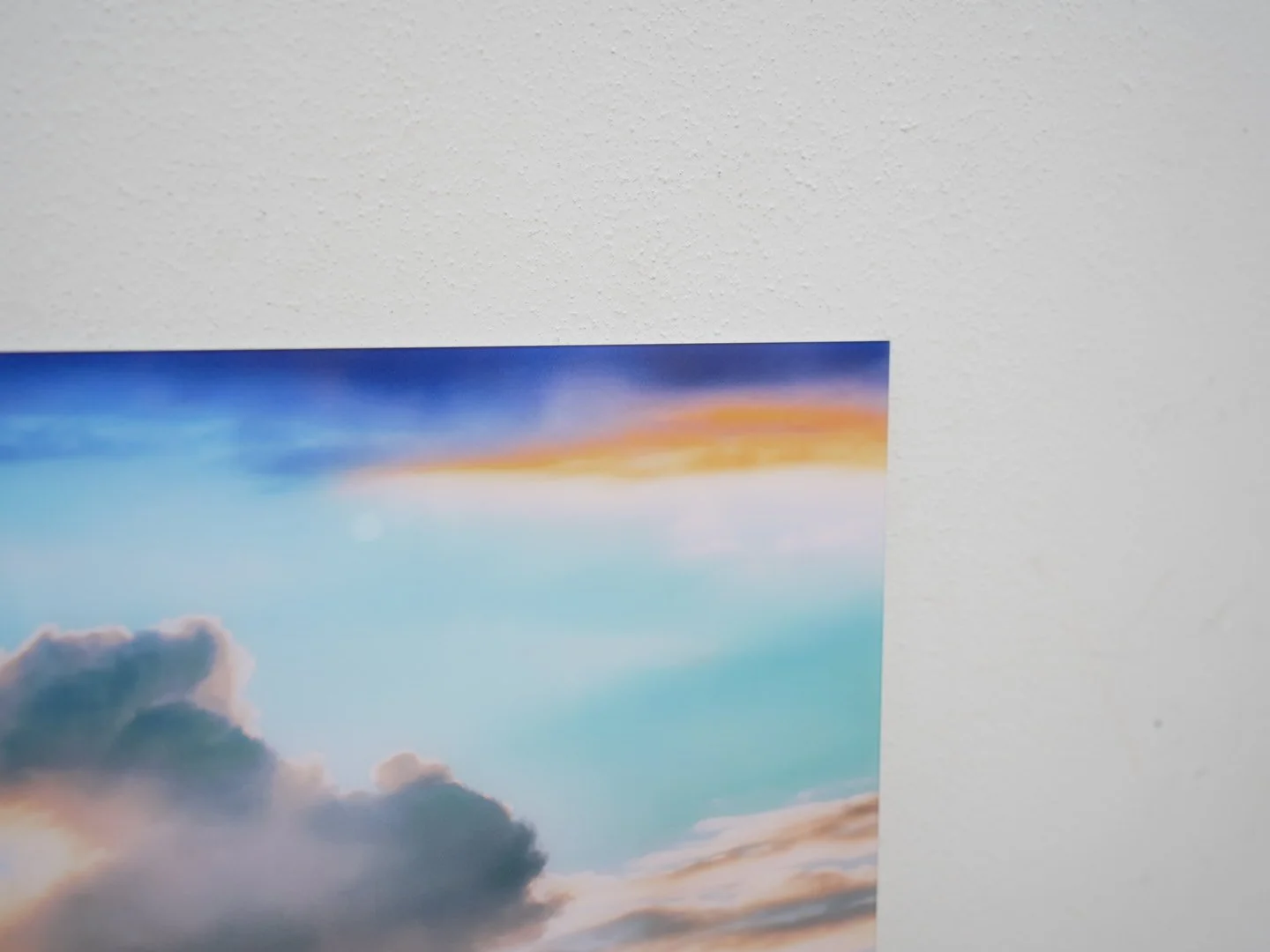 Photo Mar 26 2026, 1 06 58 PM.jpg