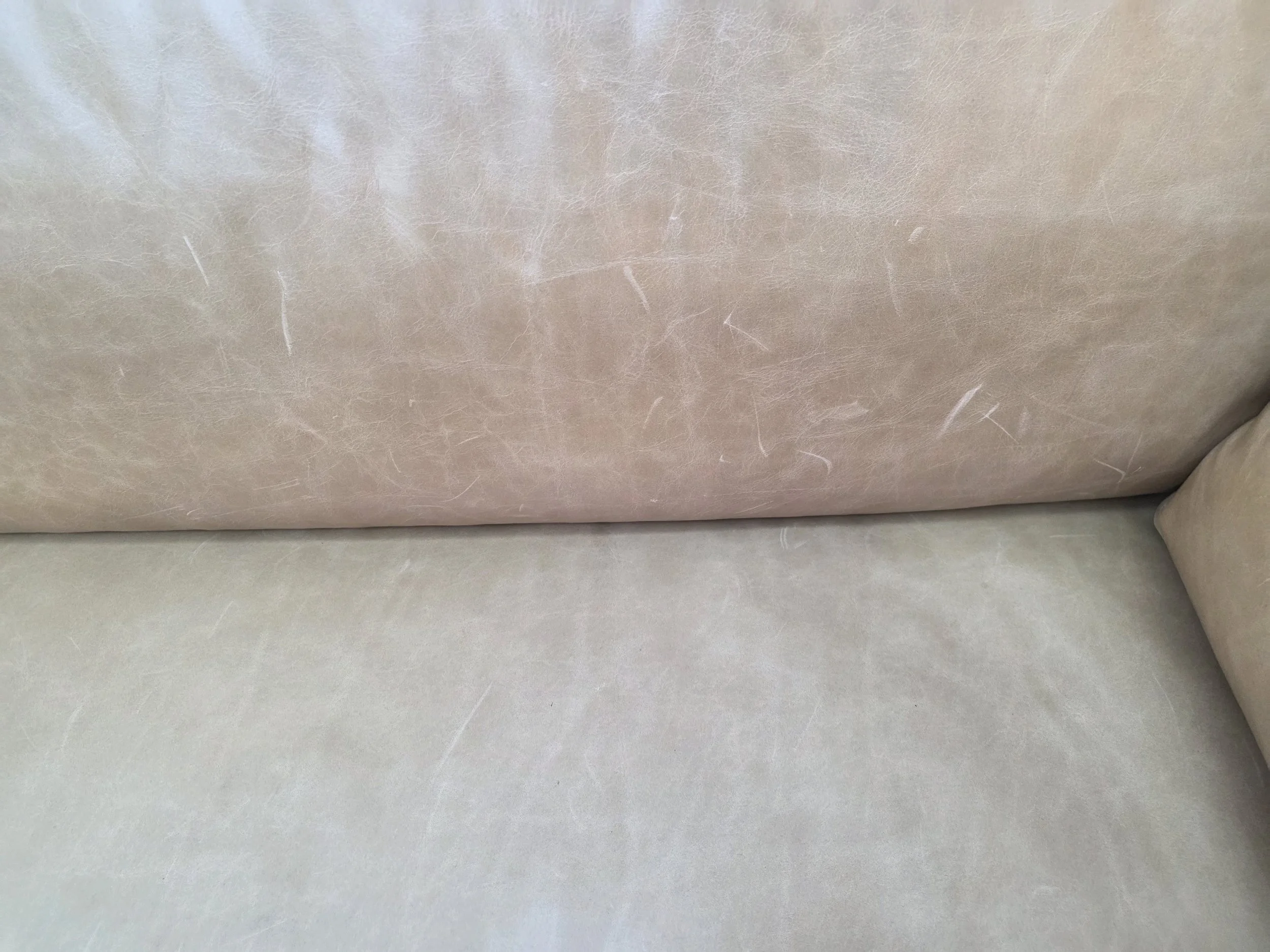 20260923_162832.jpg