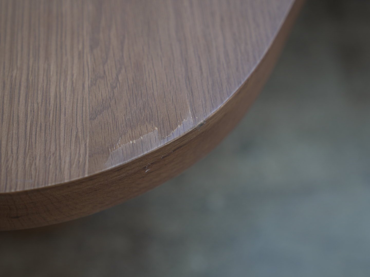 Photo Feb 03 2026, 2 25 43 PM.jpg