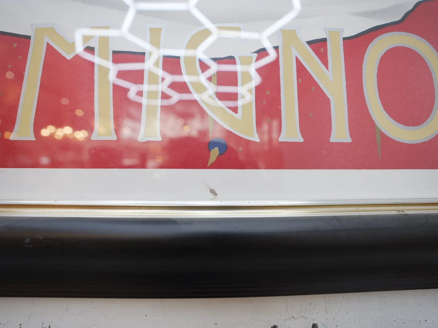 Photo Mar 24 2026, 12 55 01 PM.jpg