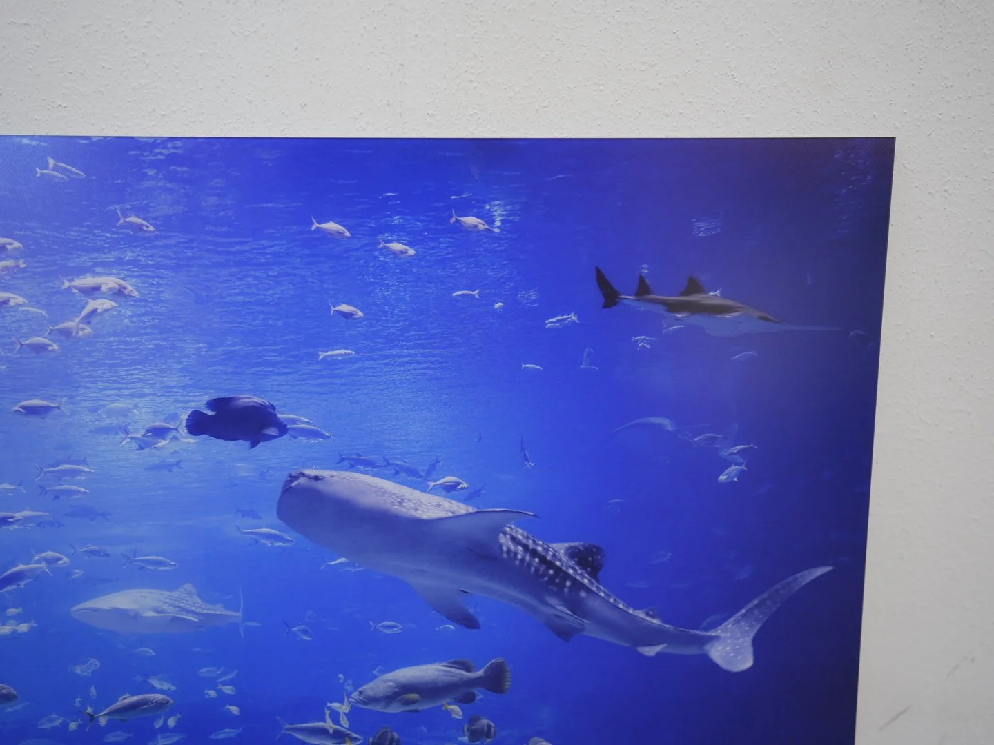 Photo Apr 23 2026, 12 18 17 PM.jpg