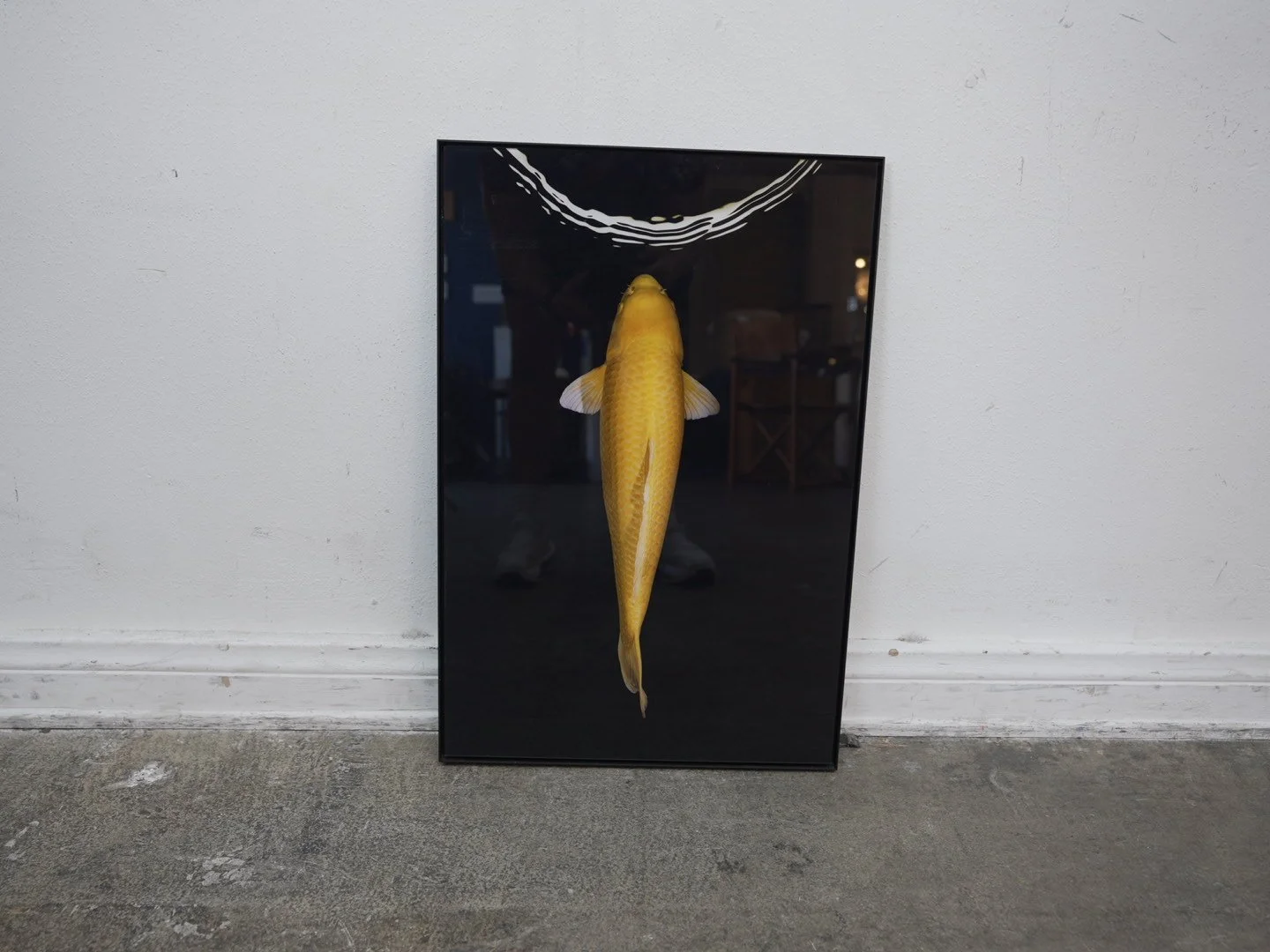 Photo Apr 23 2026, 4 34 40 PM.jpg