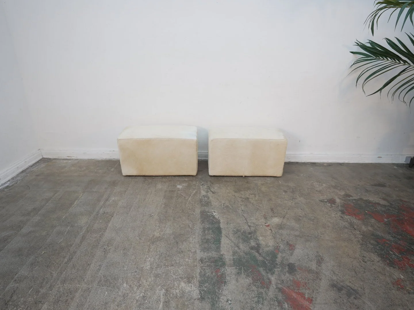 Photo Apr 21 2026, 1 35 06 PM.jpg