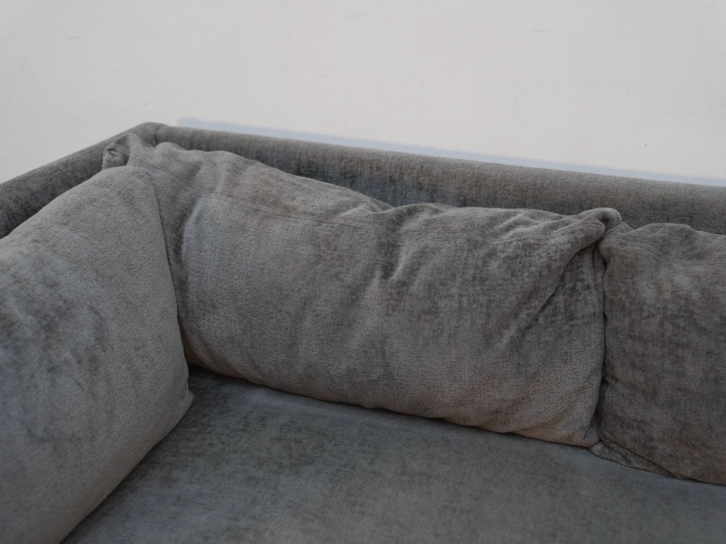 Photo Feb 19 2026, 1 03 41 PM.jpg