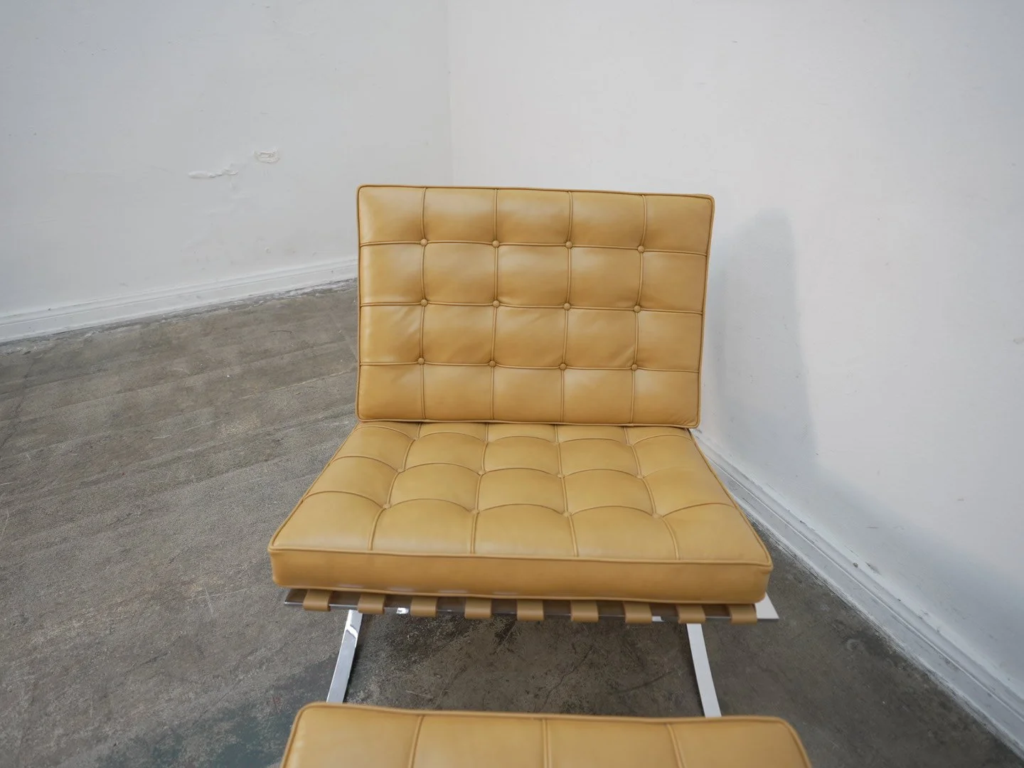 Photo Apr 21 2026, 1 05 35 PM.jpg