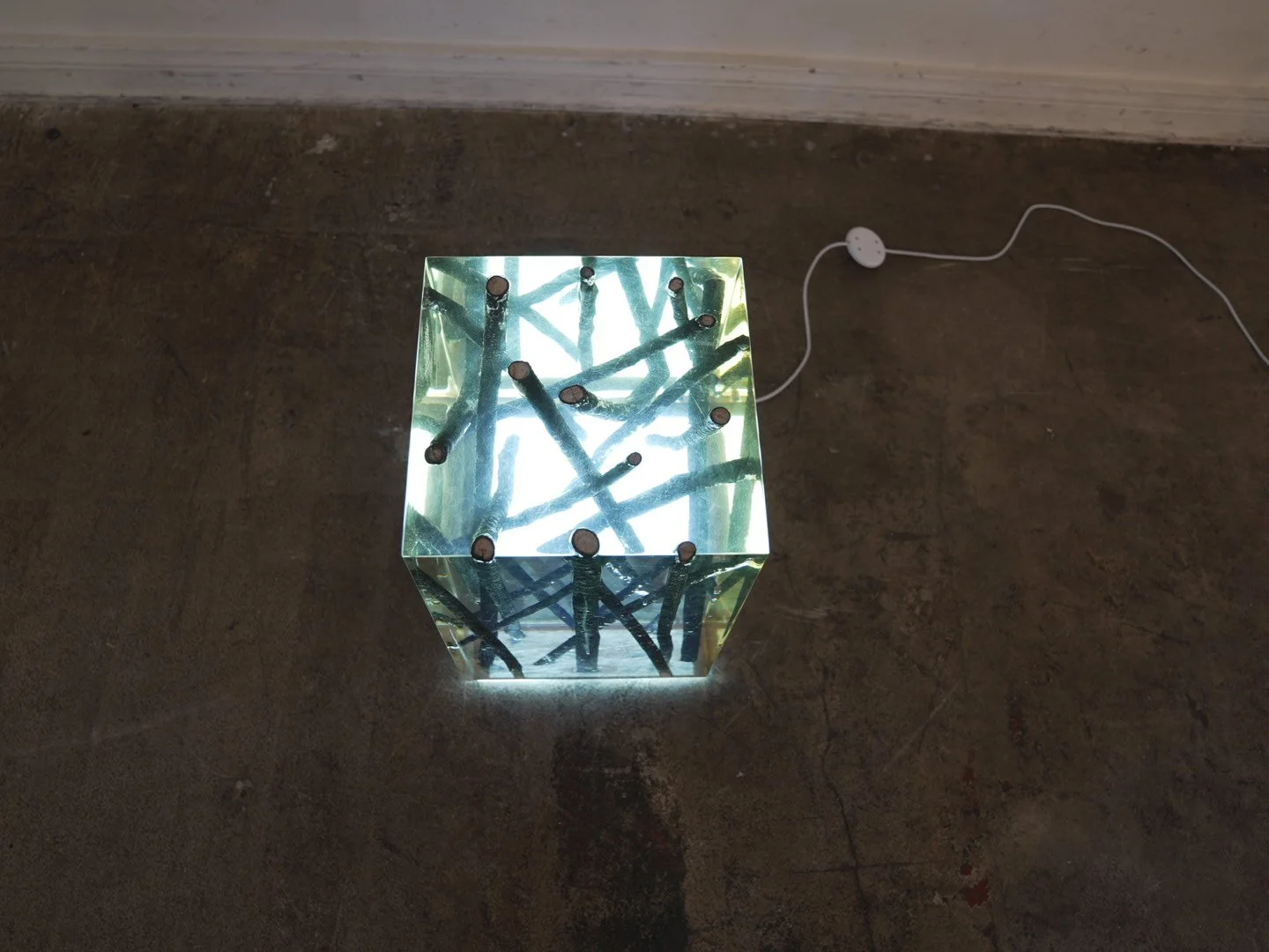 Photo Feb 08 2026, 12 04 18 PM.jpg