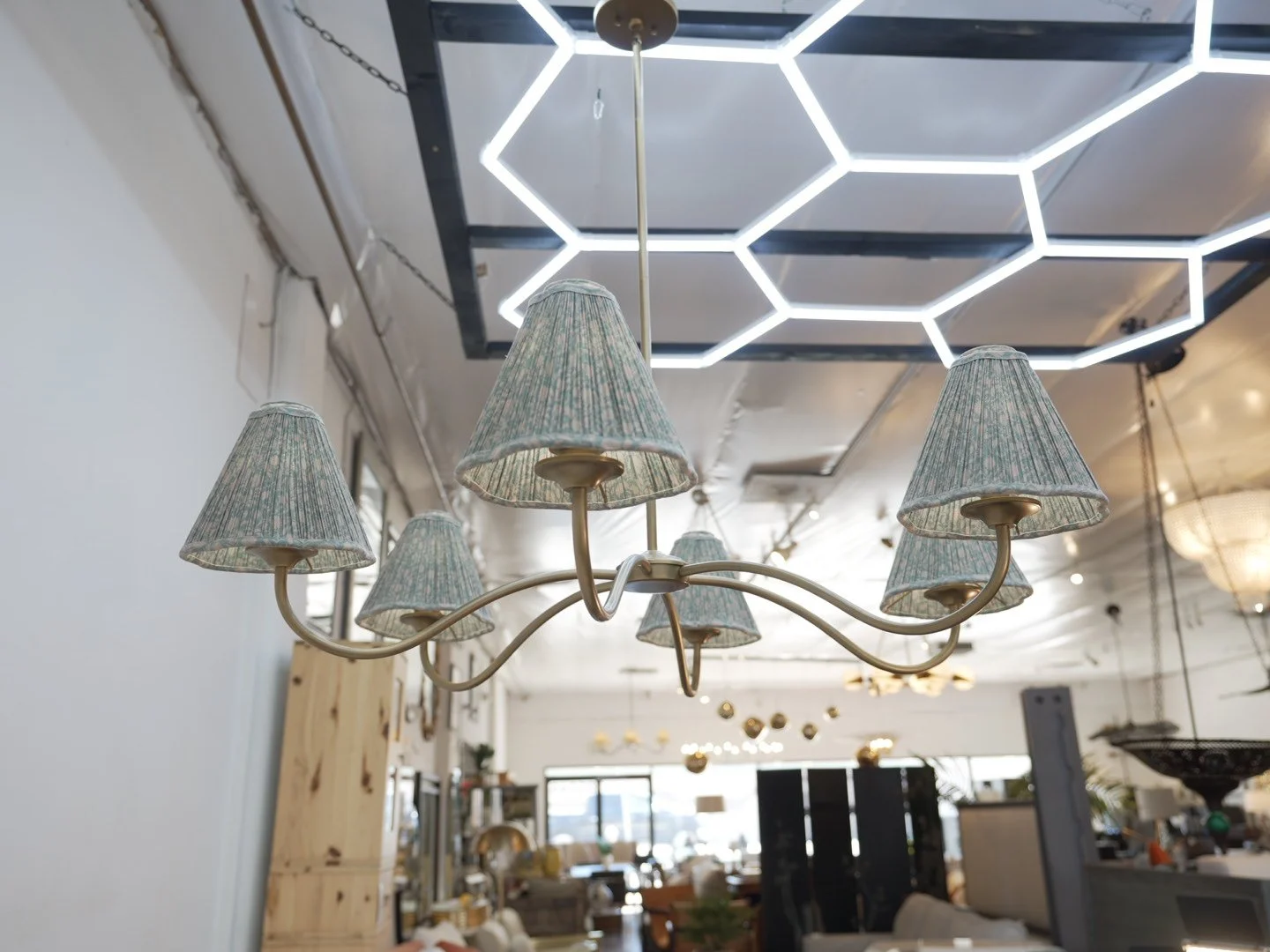 Photo Mar 12 2026, 2 01 05 PM.jpg