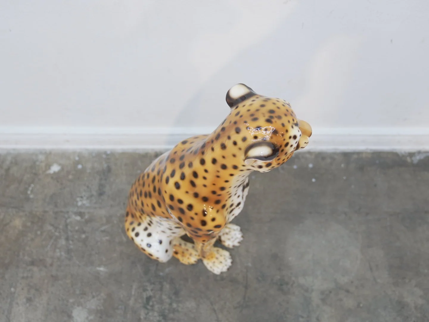 Photo Jan 31 2026, 6 07 34 PM.jpg