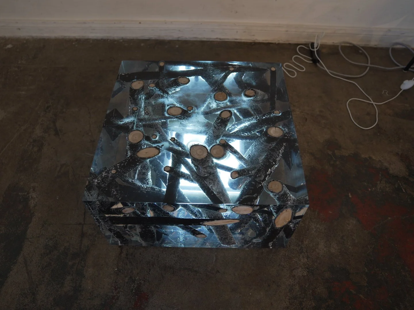 Photo Feb 08 2026, 12 19 40 PM.jpg