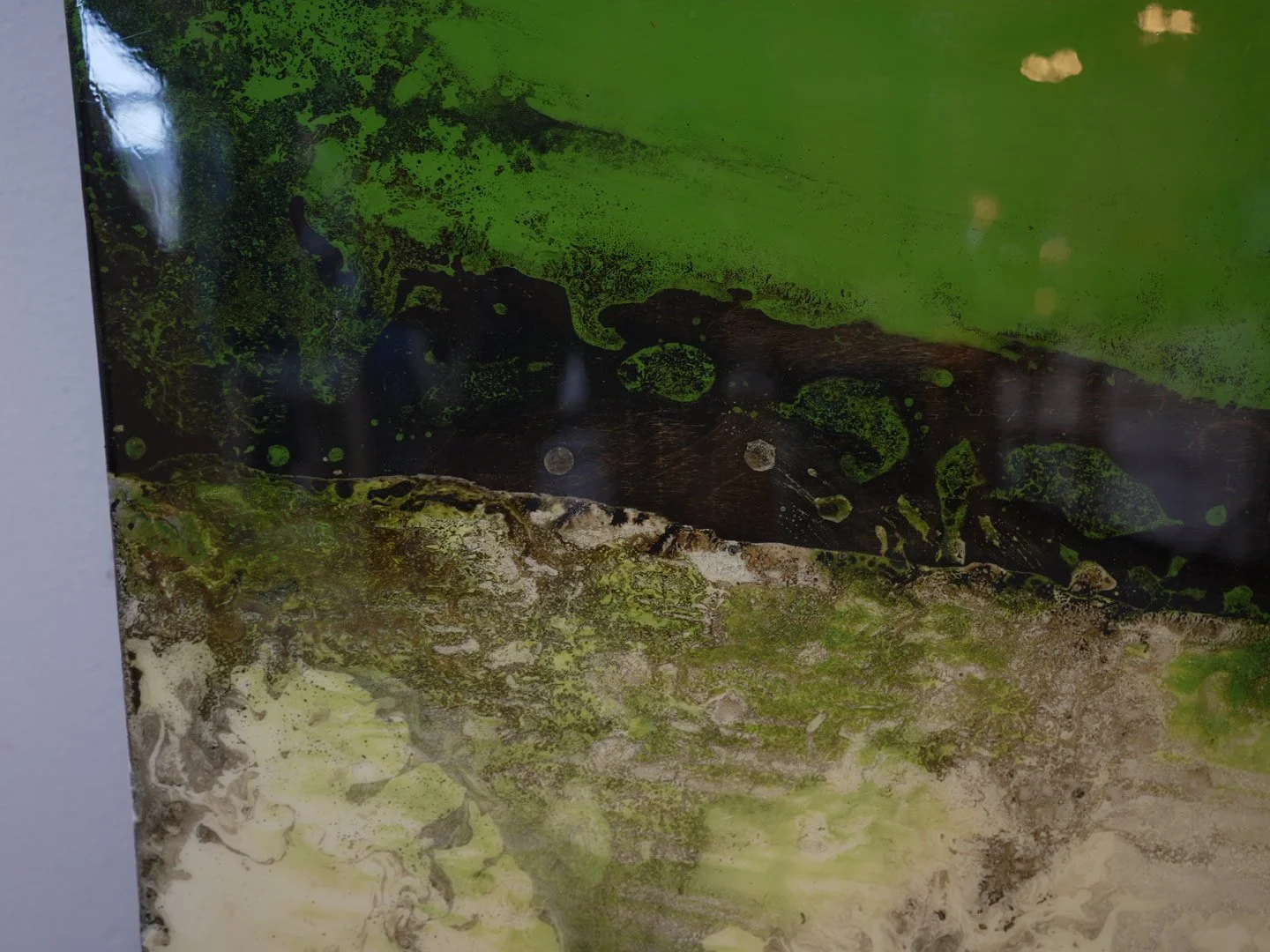 Photo Apr 23 2026, 3 48 58 PM.jpg