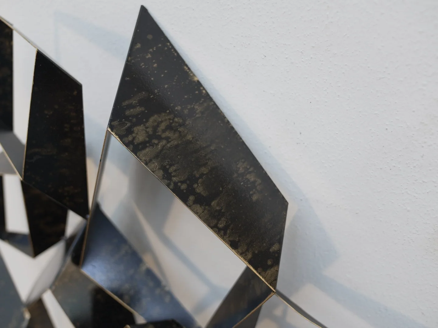 Photo Jan 24 2026, 1 56 12 PM.jpg