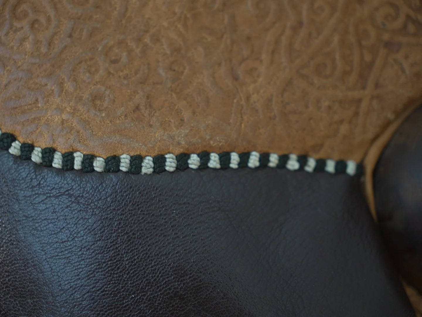 Photo Mar 06 2026, 2 23 33 PM.jpg