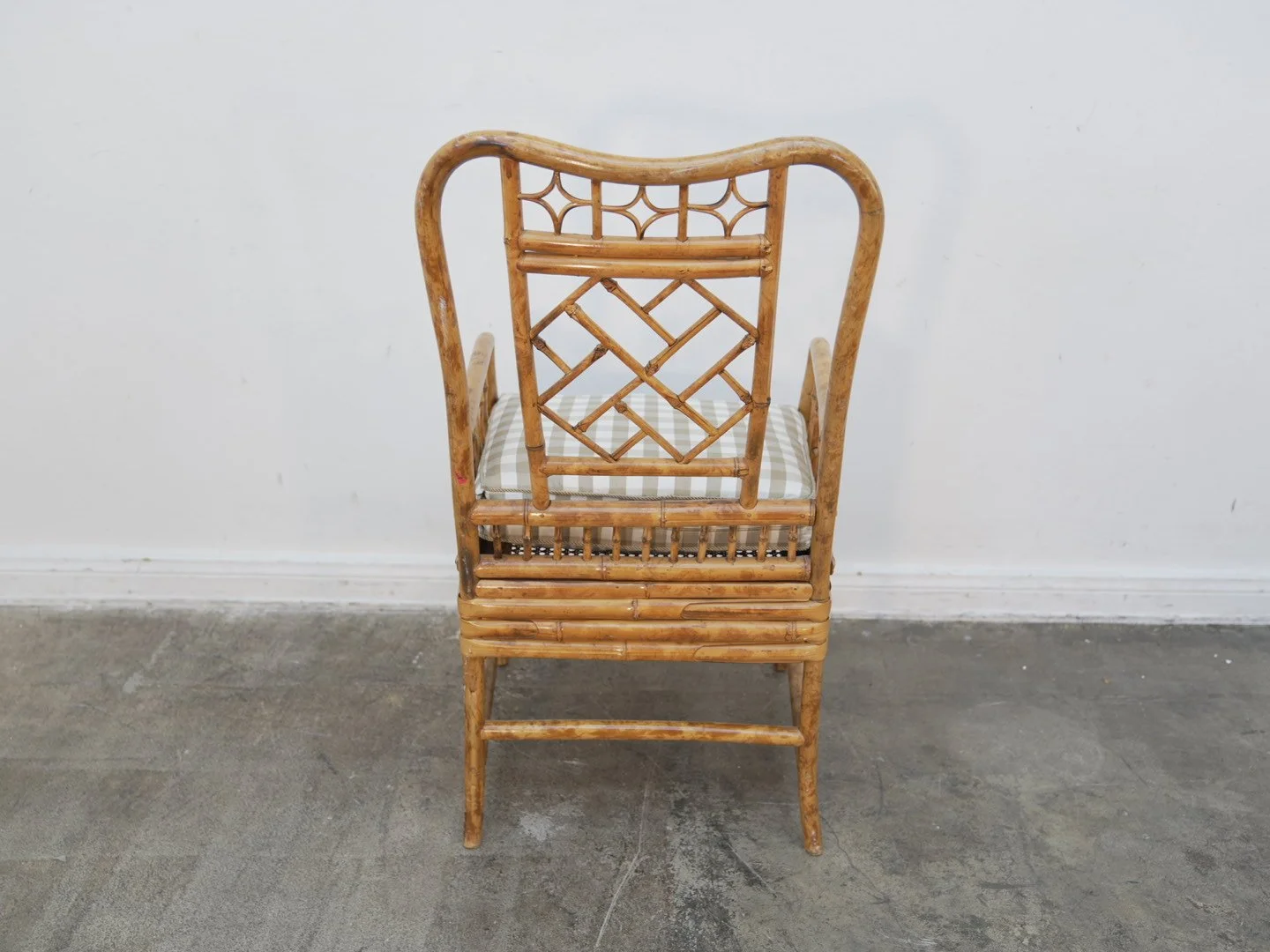 Photo Feb 13 2026, 2 47 41 PM.jpg