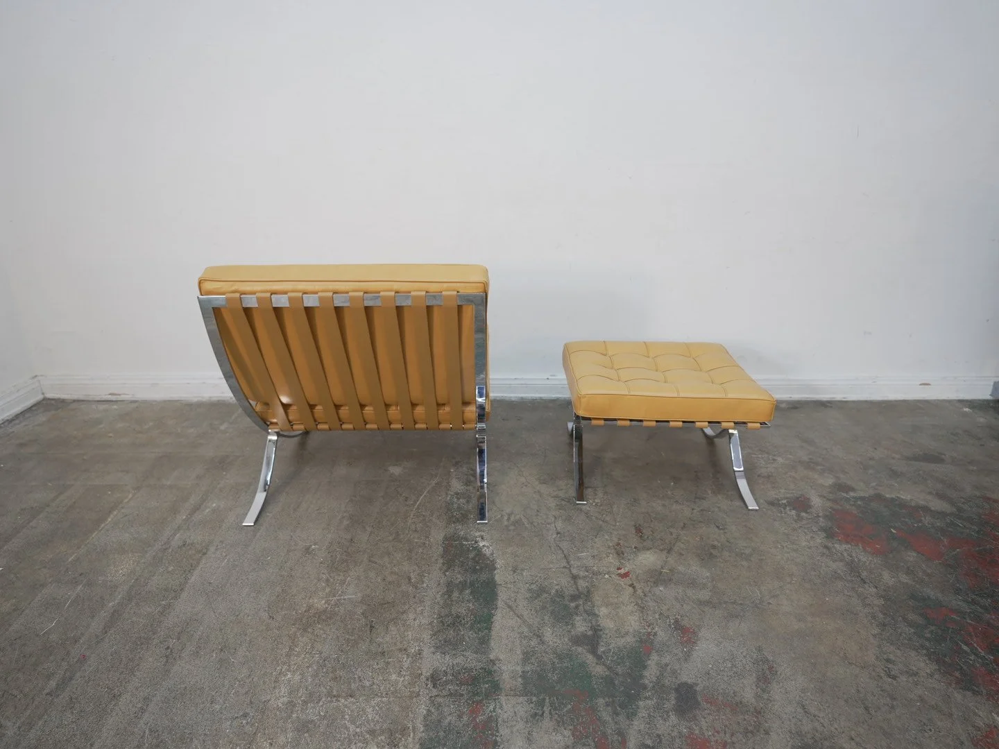 Photo Apr 21 2026, 1 06 51 PM.jpg