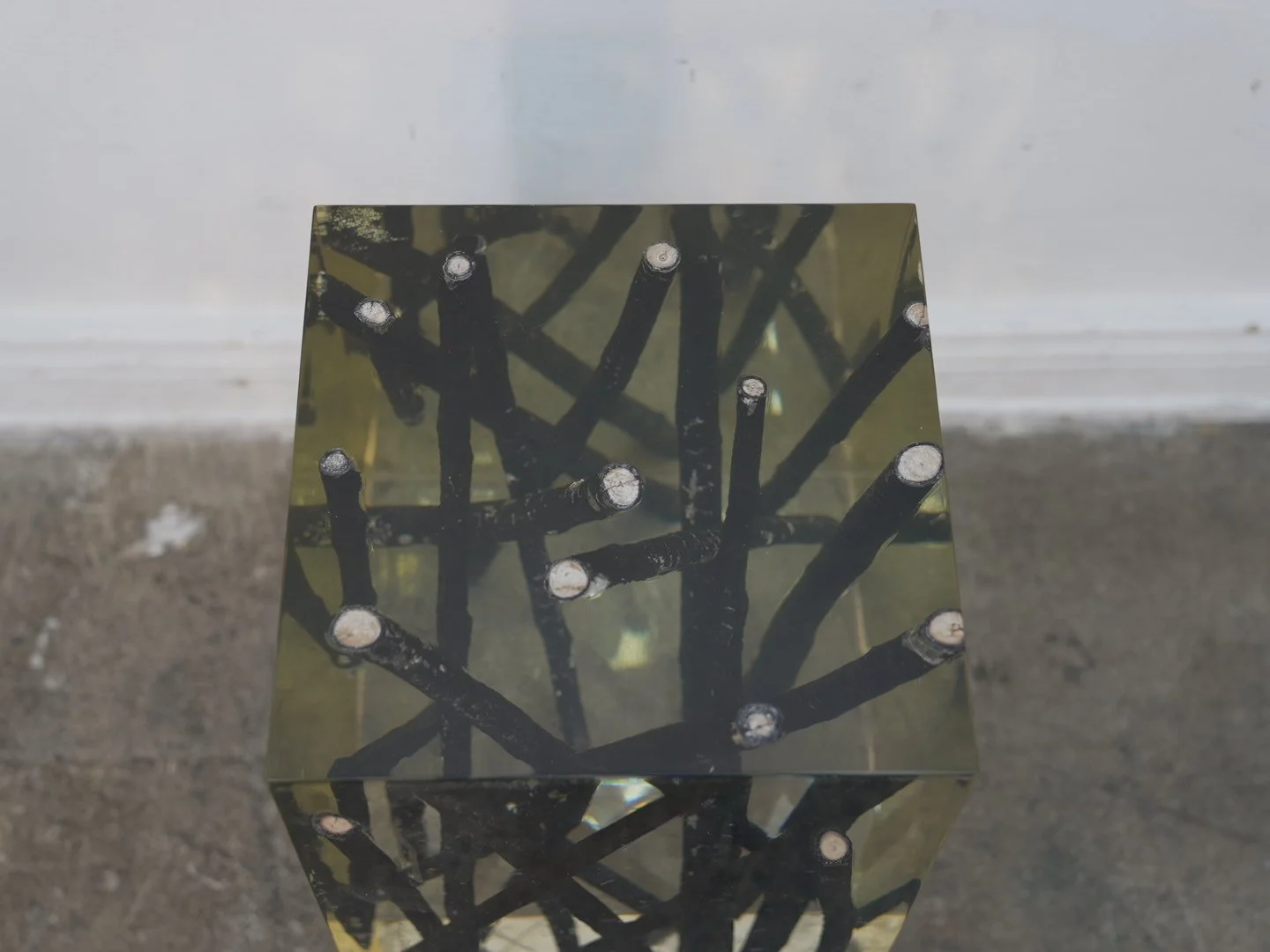 Photo Jan 30 2026, 2 30 46 PM.jpg