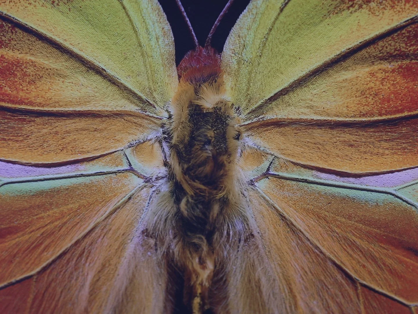 Photo Apr 23 2026, 12 42 57 PM.jpg