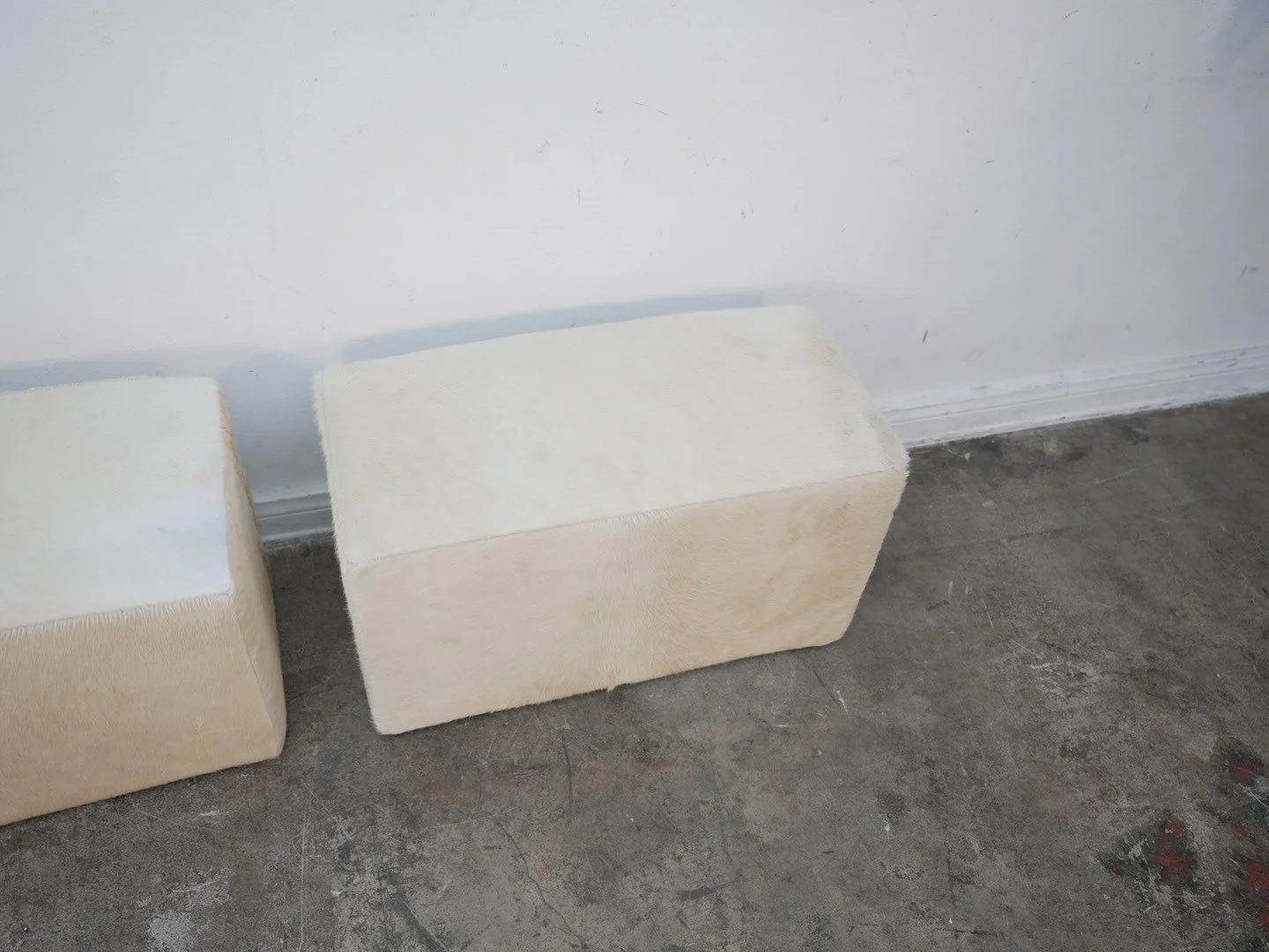 Photo Apr 21 2026, 1 35 38 PM.jpg