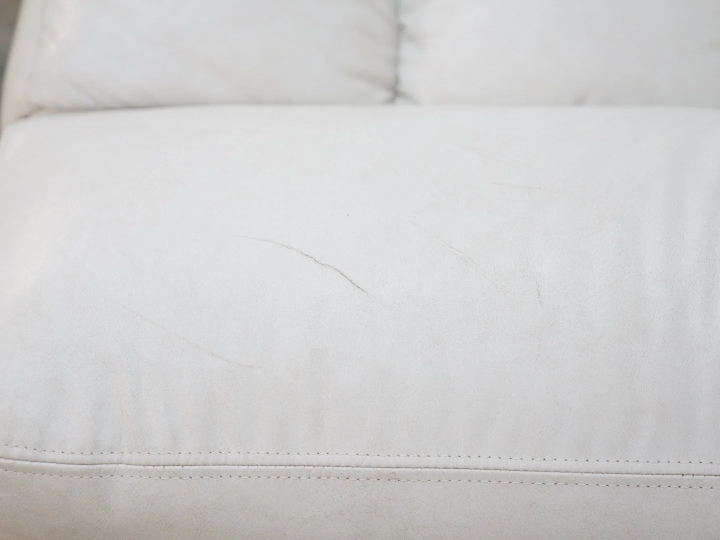 Photo Jan 30 2026, 5 16 54 PM.jpg