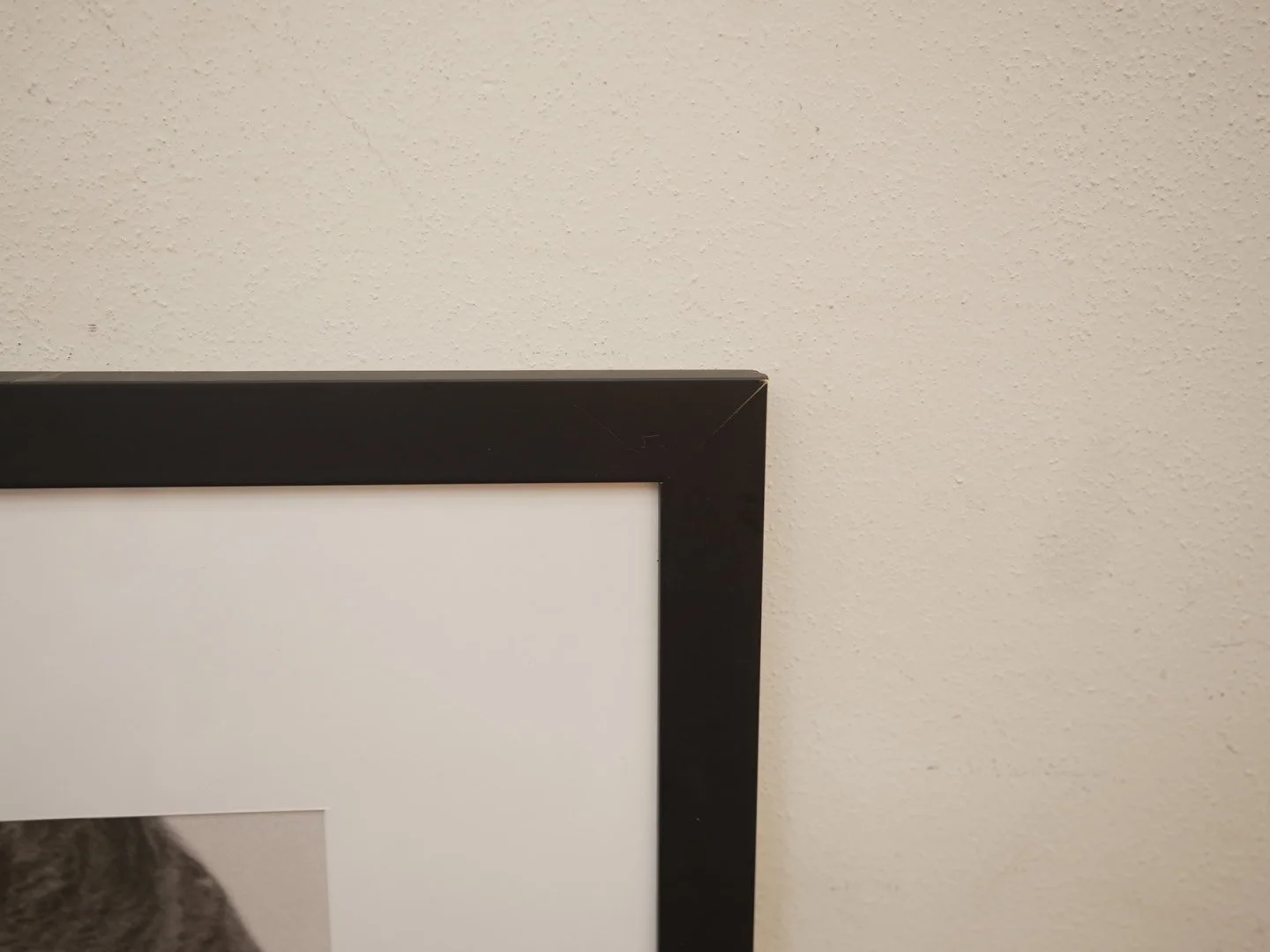 Photo Apr 23 2026, 3 51 06 PM.jpg