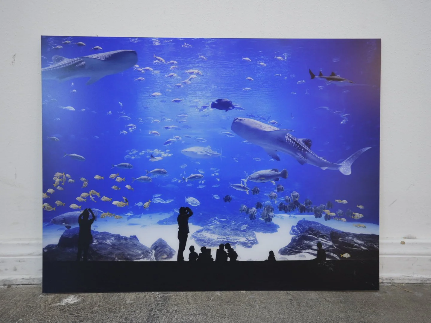 Photo Apr 23 2026, 12 17 49 PM.jpg