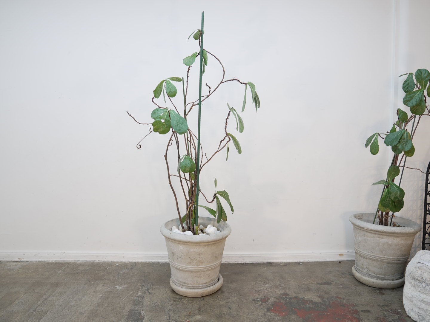 Photo Feb 06 2026, 5 39 03 PM.jpg