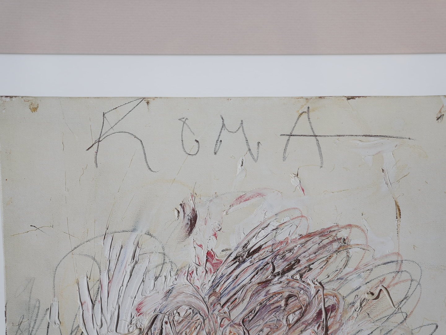 Photo Jan 29 2026, 1 51 40 PM.jpg