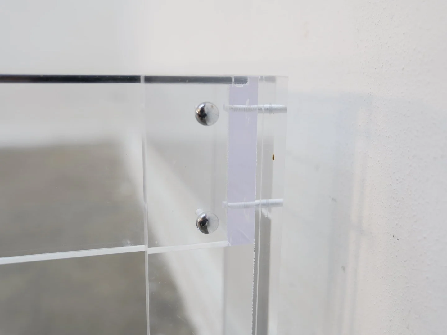 Photo Feb 05 2026, 5 01 46 PM.jpg