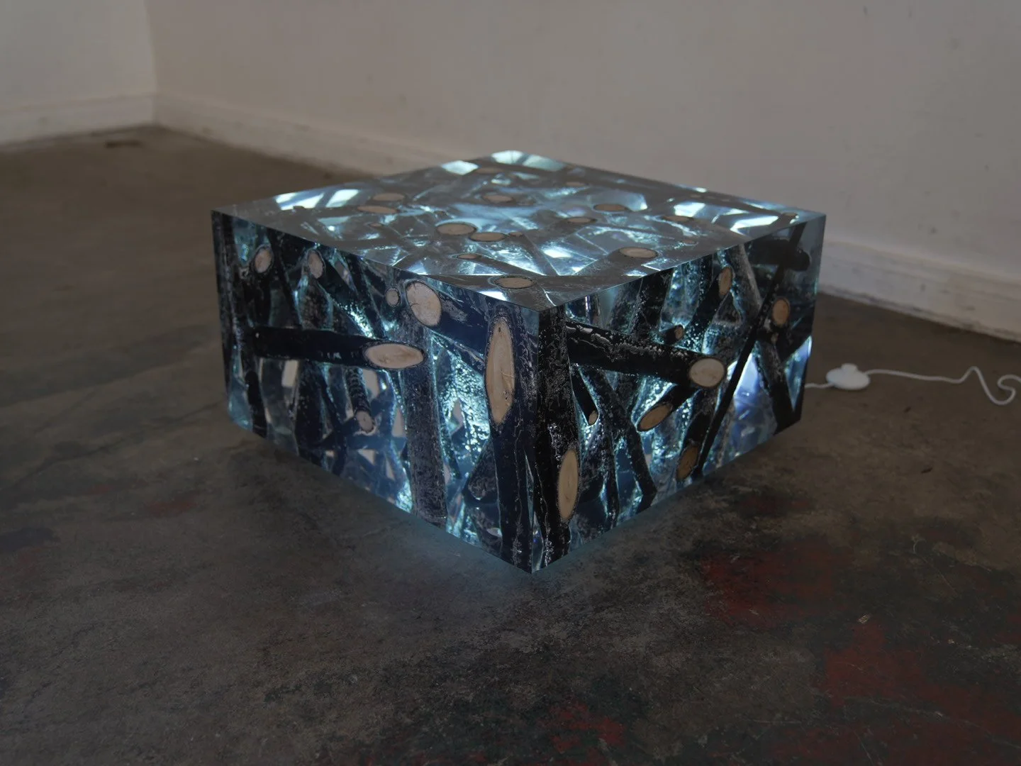 Photo Feb 08 2026, 12 19 13 PM.jpg