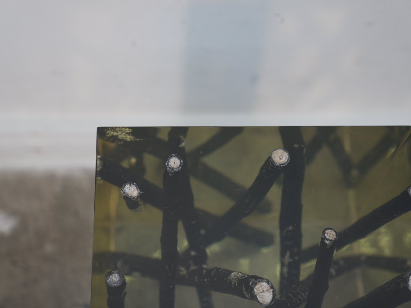 Photo Jan 30 2026, 2 31 56 PM.jpg