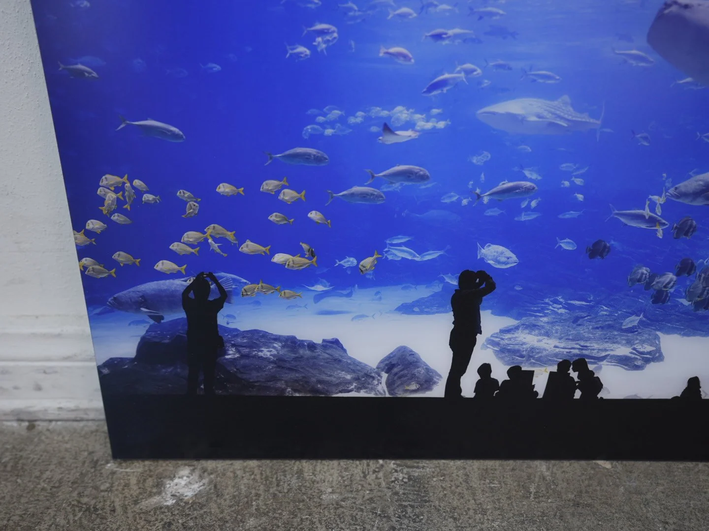 Photo Apr 23 2026, 12 18 05 PM.jpg