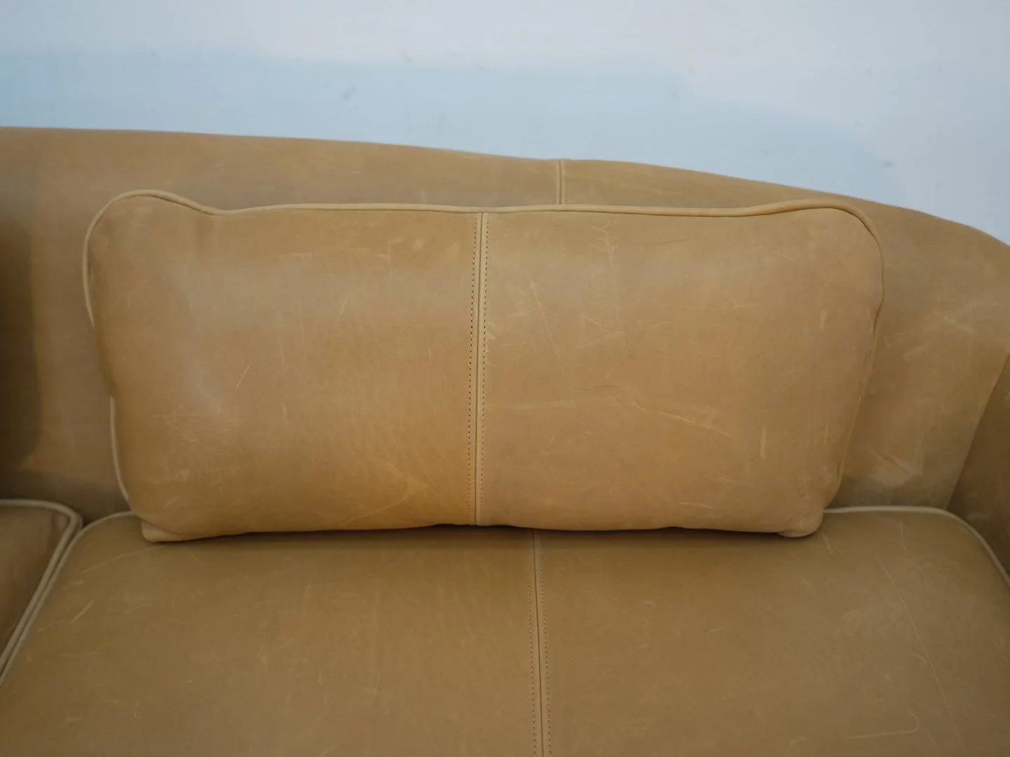 Photo Mar 24 2026, 1 03 53 PM.jpg