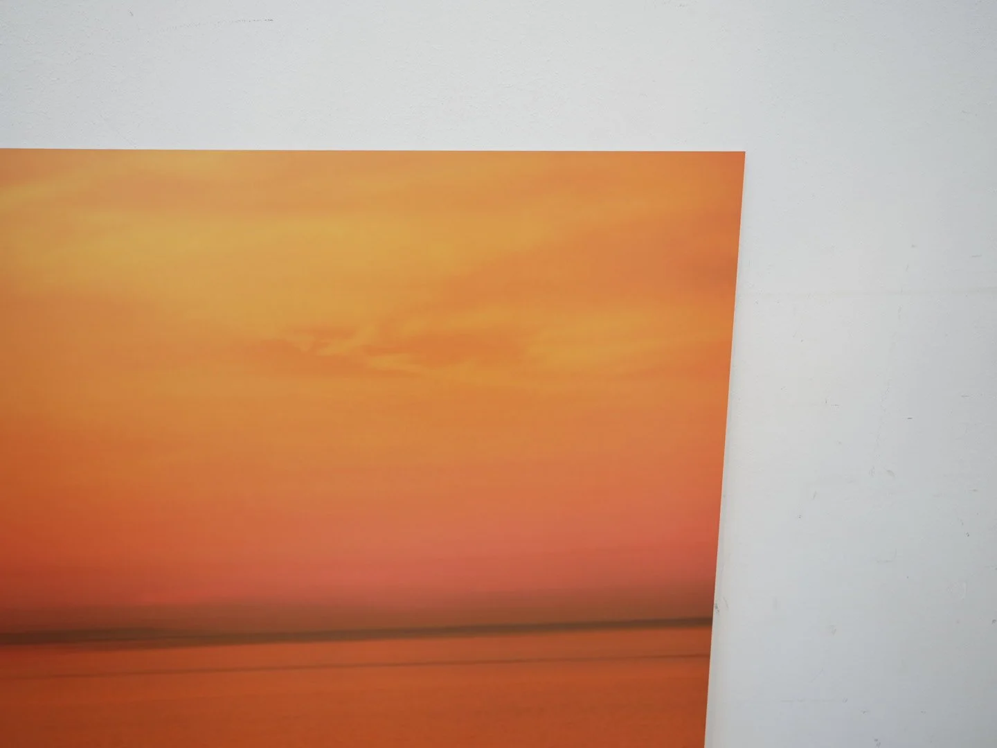 Photo Apr 23 2026, 11 56 32 AM.jpg