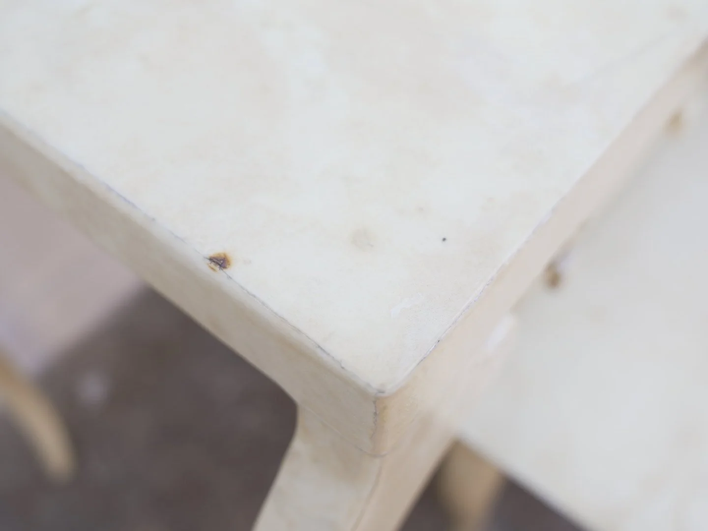 Photo Feb 13 2026, 2 53 19 PM.jpg