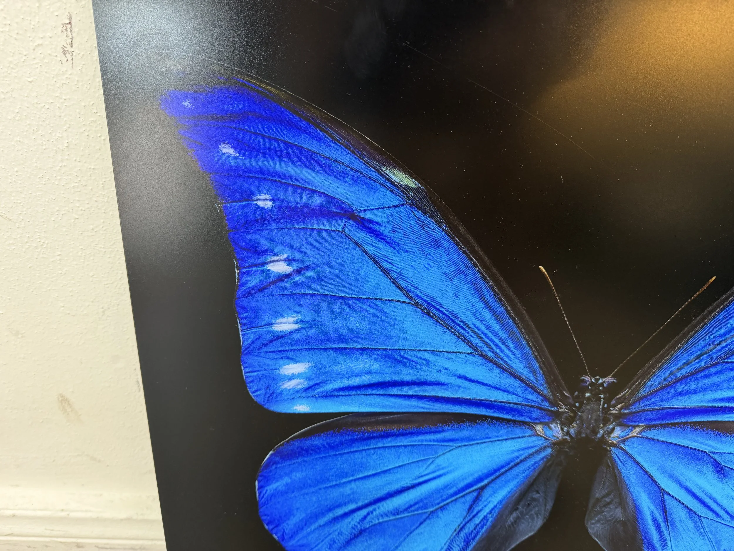 Photo Mar 28 2026, 12 10 18 PM.jpg