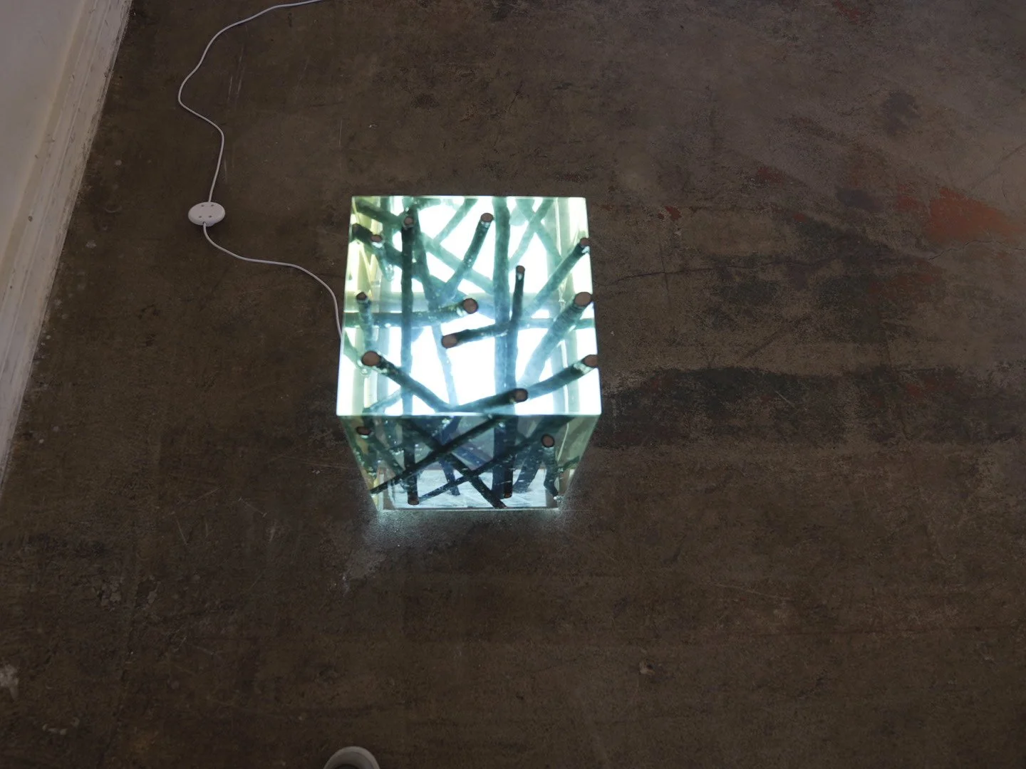 Photo Feb 08 2026, 12 04 38 PM.jpg