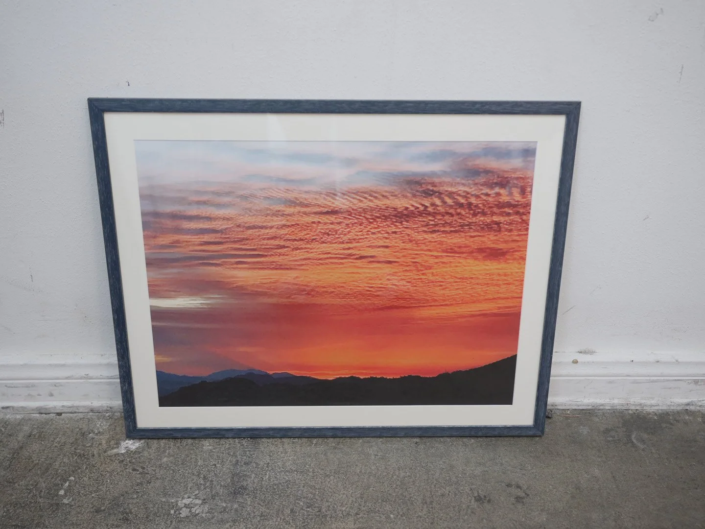 Photo Apr 23 2026, 4 27 52 PM.jpg