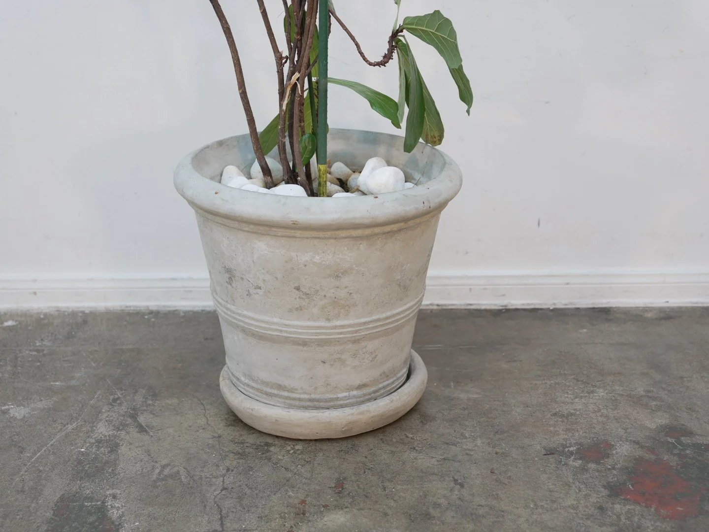 Photo Feb 06 2026, 5 39 10 PM.jpg